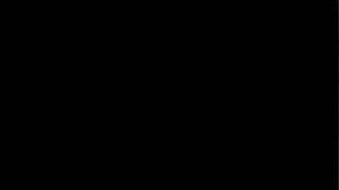gif-4.gif