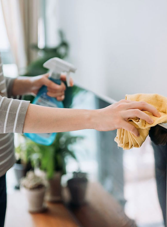 person cleaning tv