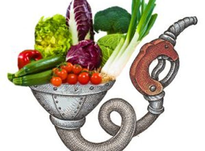 food as fuel image