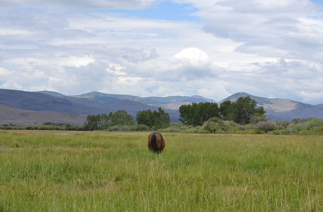 DSC_0080.JPG