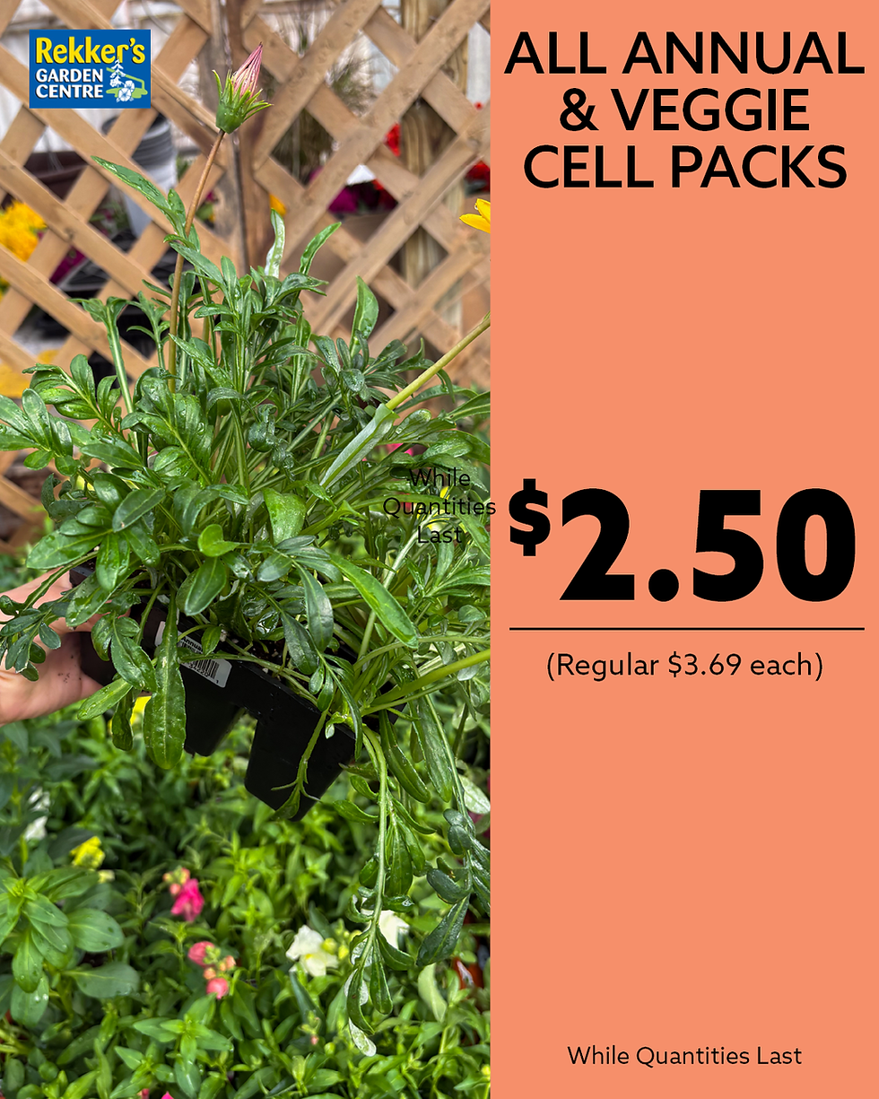 cell pack