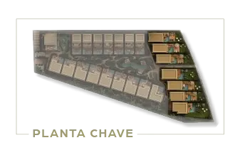 PLANTA CHAVE.webp