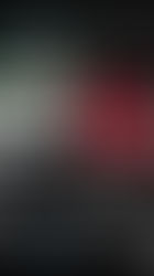 DECEMBER'S CHILDREN オープニングアクト出演決定！