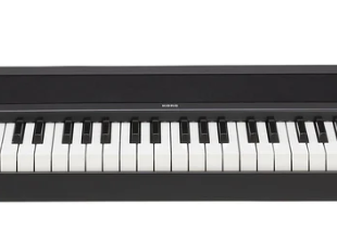 Top 10 electric pianos for beginners