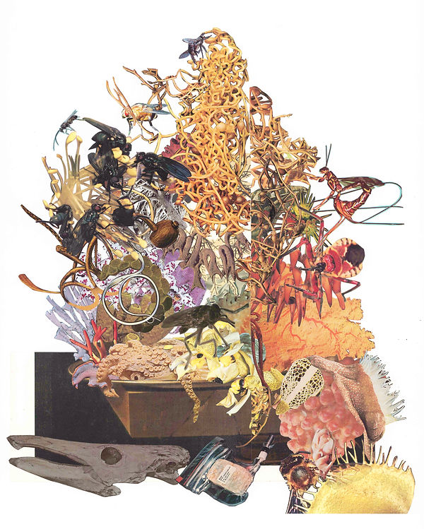 yellowvanitas.jpg