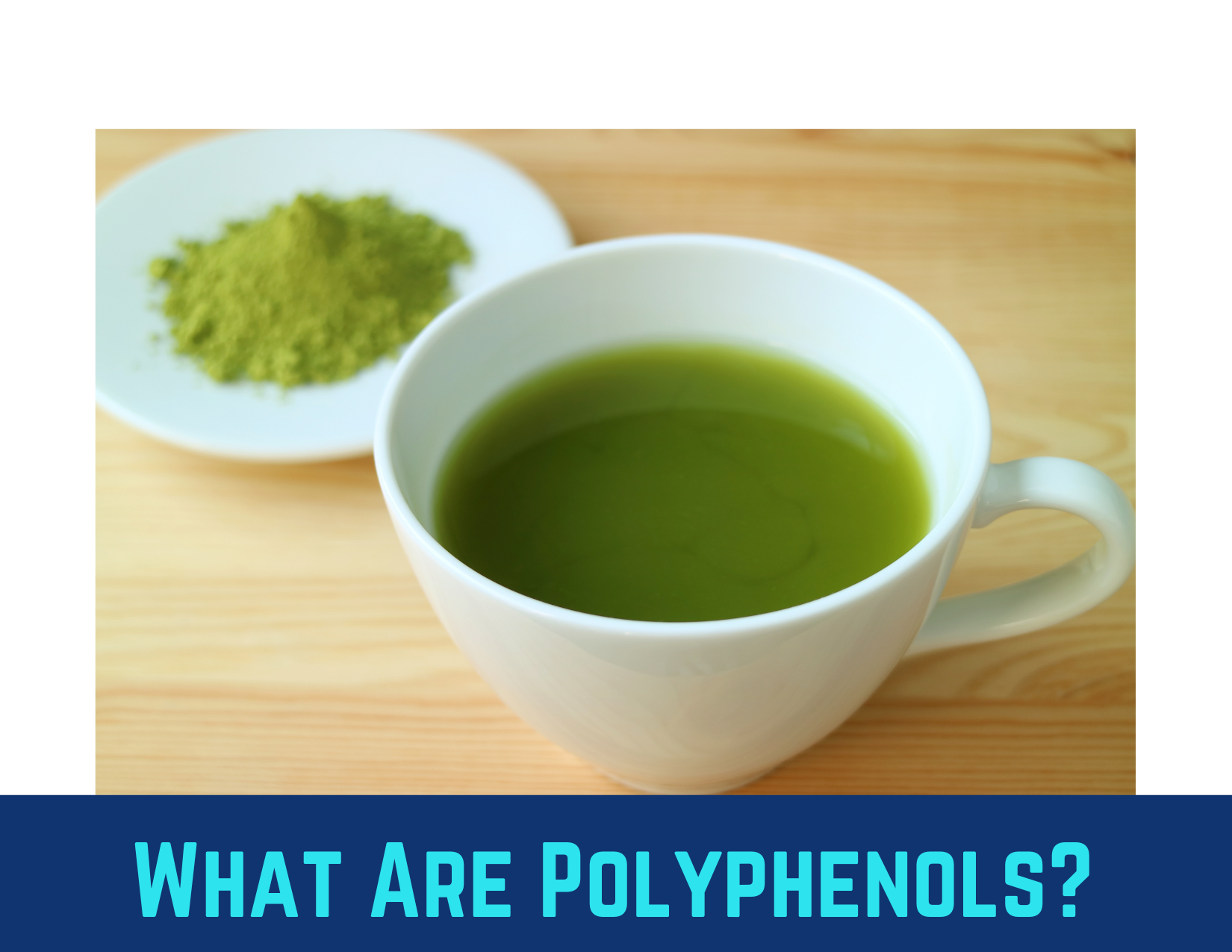 What Are Polyphenols?