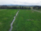 DJI_0635_edited.jpg