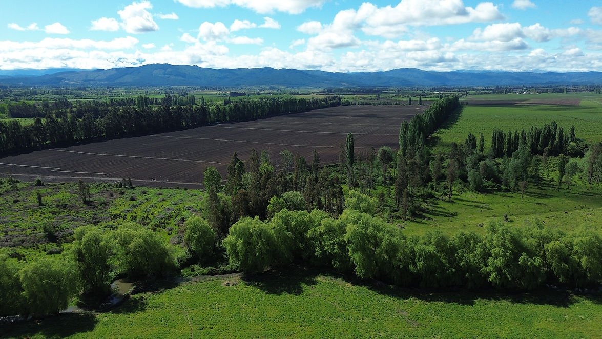 DJI_0572.JPG