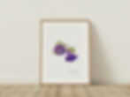 Watercolor illustration of a purple cup and saucer vine flower with green leafy details on a white background.