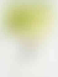 Handmade Watercolor Paint