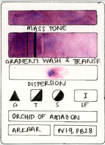 Orchid of Amazon Handmade Watercolor Paint