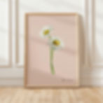 Daisies on Pink Botanical Illustration Detailed Realistic Floral Watercolor