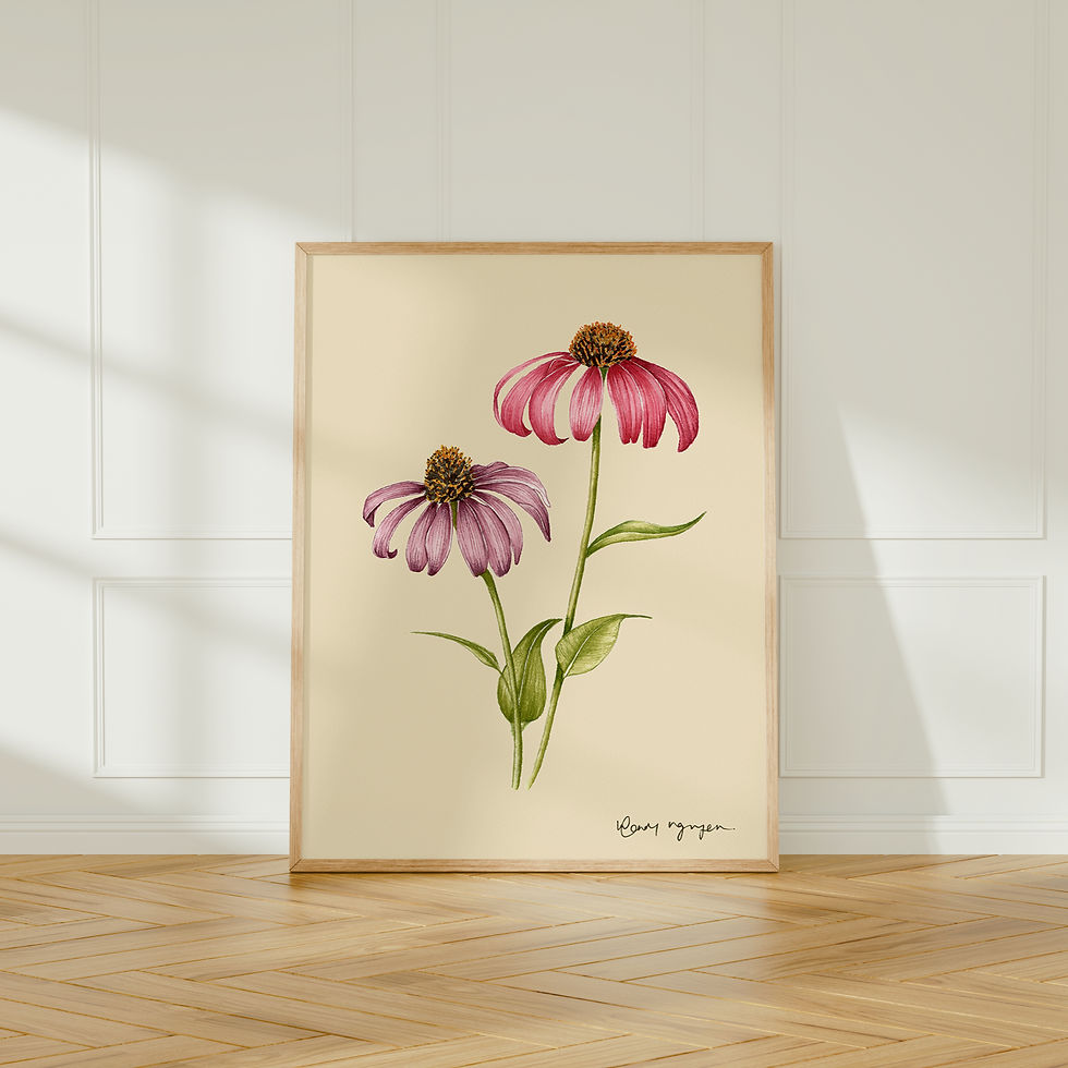 "Echinacea Beige Background Art Print"