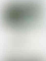 Perylene Green Poems About You Handmade Watercolor Paint