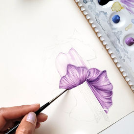 Botanical Illustration Floral Watercolour Painting of cup saucer vine flowers