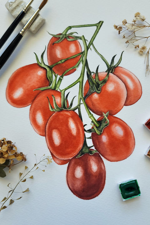A detailed watercolor painting of a cluster of ripe red tomatoes on the vine, with green stems and leaves, set on white paper. Surrounded by art supplies including paintbrushes, watercolor paints, and dried plant stems, this vibrant artwork highlights the fresh and natural beauty of the tomatoes.