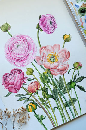 Botanical watercolor painting of blooming ranunculus and peony flowers in shades of soft pink, coral, and magenta, surrounded by green leaves and stems. The detailed florals are arranged on white watercolor paper with a paint palette visible on the side, showcasing the artist’s process. Delicate dried flowers rest nearby, adding a natural touch to the serene and elegant floral composition.