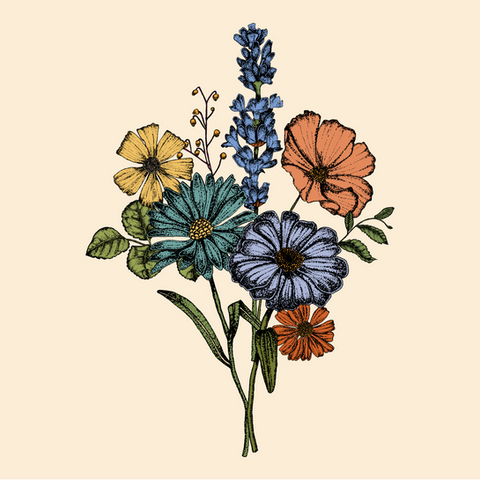 Botanical Ink Illustration Poster