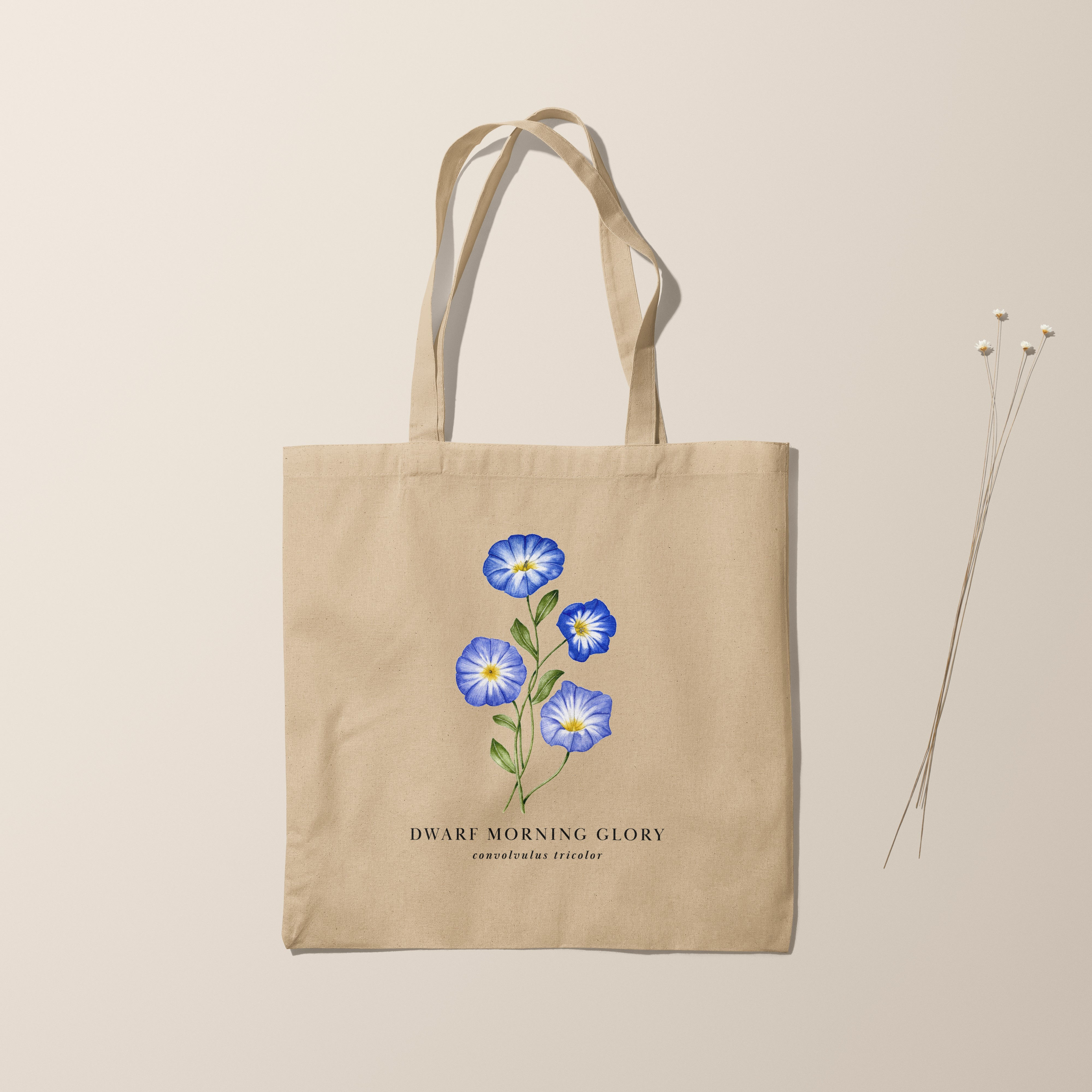 Elegant botanical tote bag featuring a watercolor illustration of the Dwarf Morning Glory (Convolvulus tricolor)