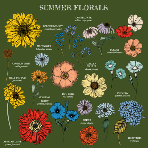 Botanical Ink Illustration Poster