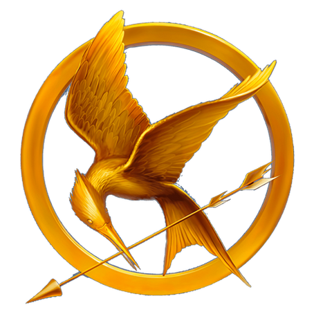 How The Hunger Games Affected My Writing