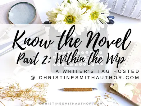 Know the Novel - Part Two // within the wip & behind the scenes