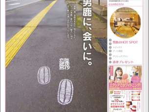 【メディア掲載】情報誌「mari*mari（マリ・マリ）」Vol.856（2026年6月5日発行）の特集「男鹿のHOT SPOT」に、グループ会社・男鹿まち企画が手がける街歩き企画「なまはげさんぽみち」と新拠点「おいしいファクトリーCADAR」が紹介されました。