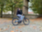 Fietsleasing 2.jpeg