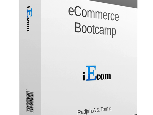 iEcom Blueprint Review – Hundreds Extra Per Month With Zero Effort?