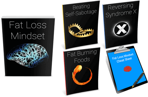 Fat-Loss-Mindset-PLR-Review-Cover