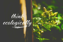 THINK ECOLOGICALLY