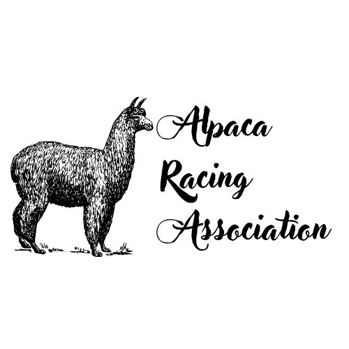 Alpaca Racing Association