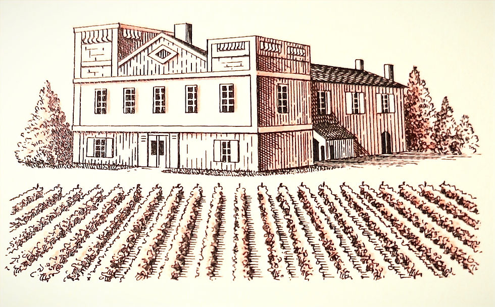 Miniature : Château du Pin Saraille Cuvée réserve | Côtes de Bordeaux Rouge