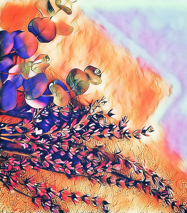 30D0592E-6723-4F9C-BF41-4F930443CA2B.jpeg
