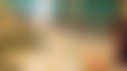 W&DW elige nueva presidencia y comité ejecutivo en el Congreso de 2017 en Venecia