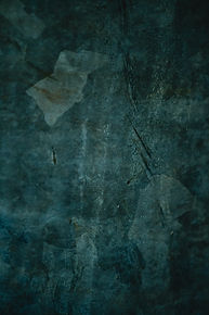 Photo by Eva Bronzini 01.jpg