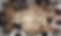 AdobeStock_283303511.jpeg