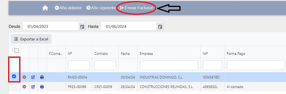 Detalle de la ventana de listado de facturas de netPrevencion