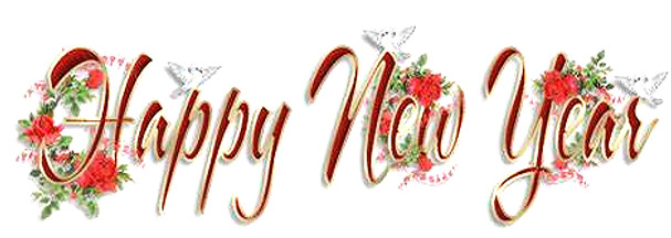 Happy New Year 3_edited.jpg