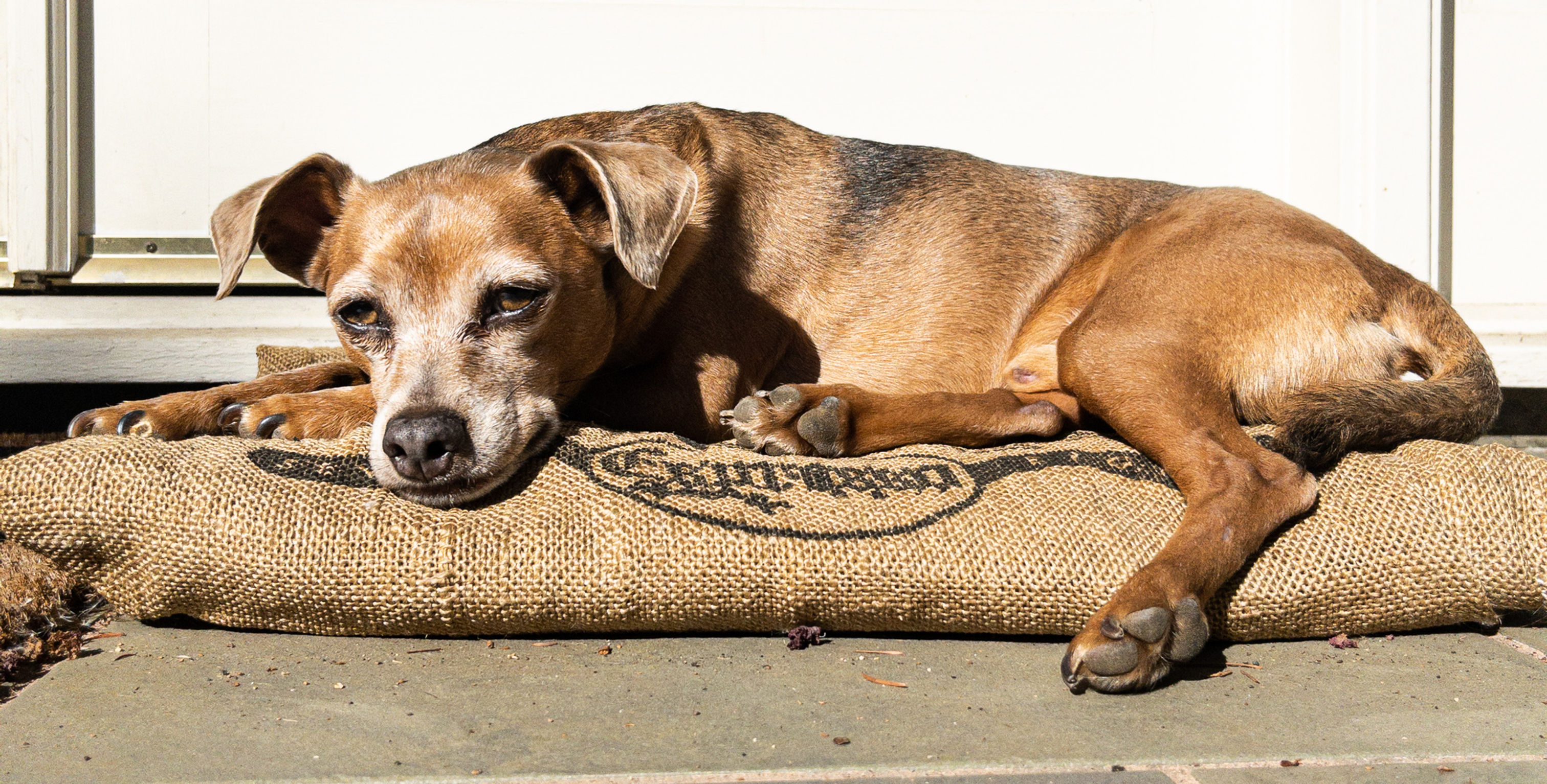 PAPUA NEW GUINEA- Highlands X