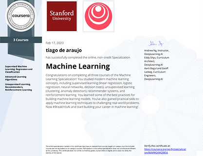 stanford insta certificate.png