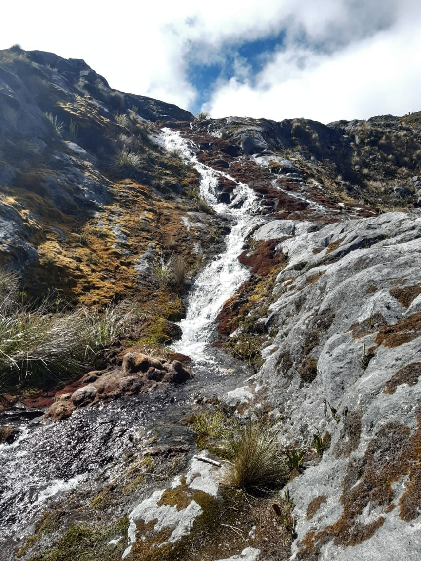 Miniatura: Tour a nevado (experiencias)