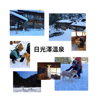 日光澤温泉.png