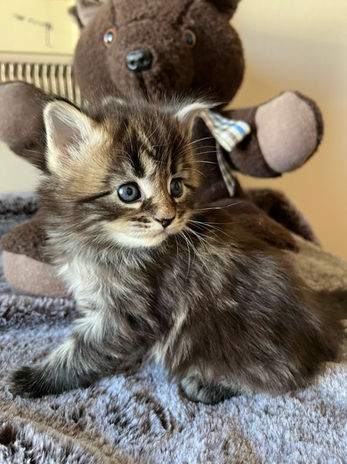 IMG_0786 2022-02-27 14_12_51.HEIC