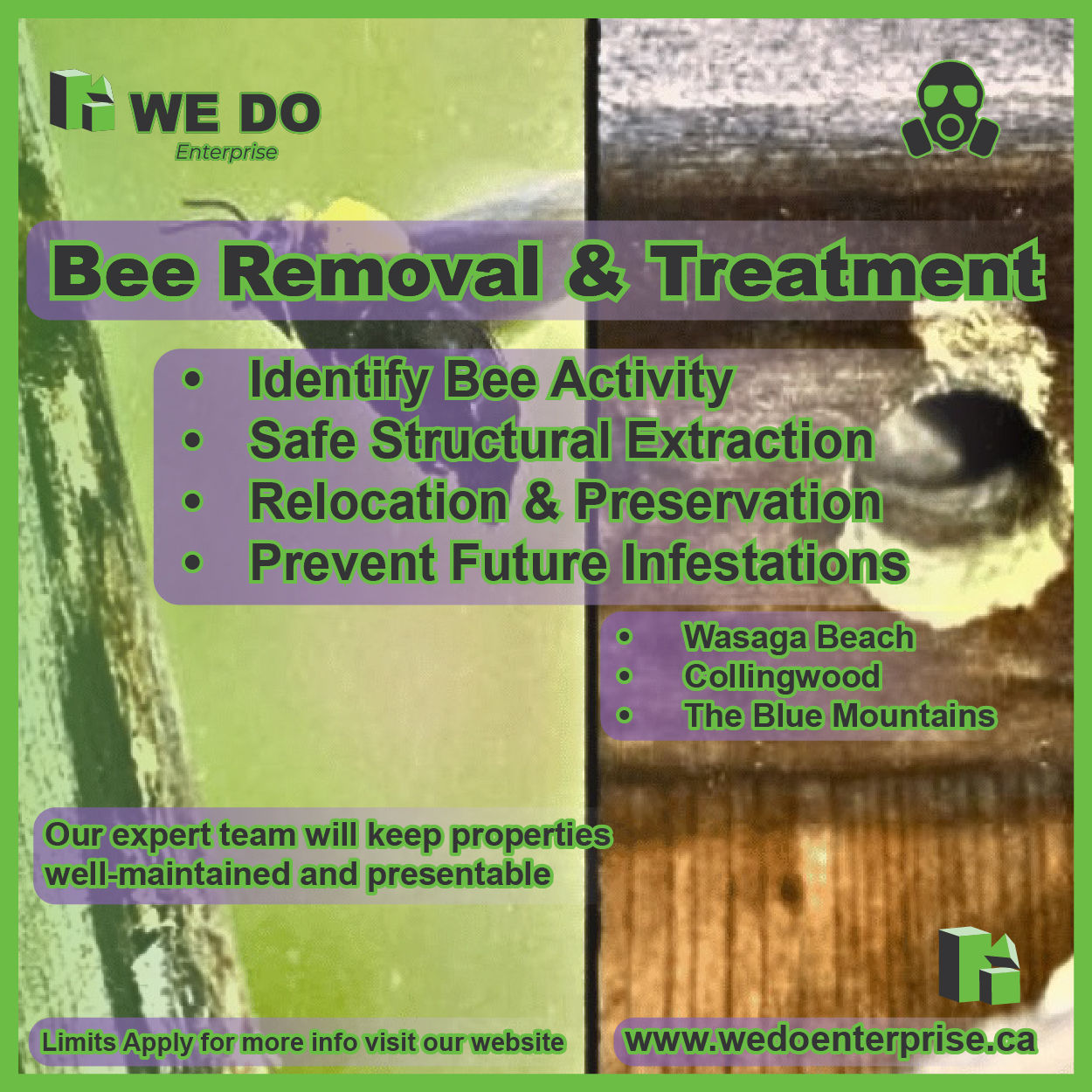 Bee Removal & Treatment