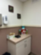 Dog, cat, small mammals exam room.