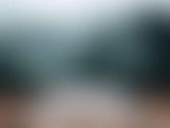 Get Transported into Another World with our Forest in the Mist Wallpaper Mural