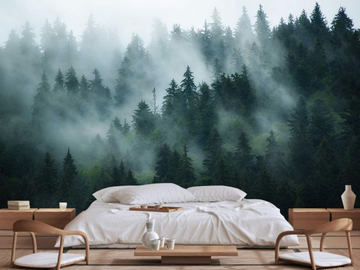Get Transported into Another World with our Forest in the Mist Wallpaper Mural