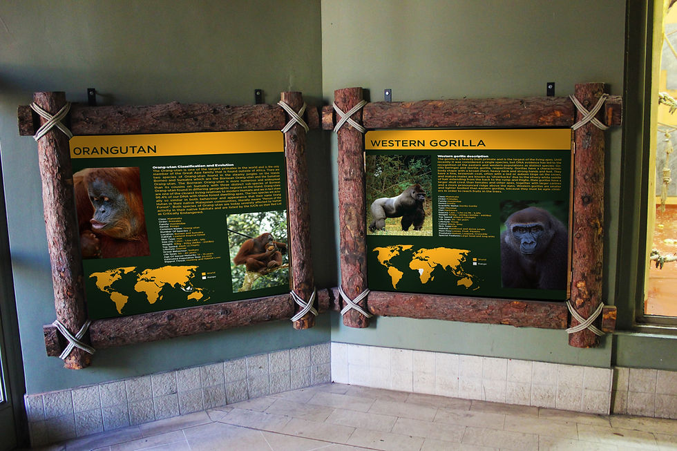 Budapest Zoo Bilgi Tablosu