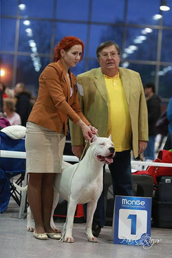 Zoe Best Female, BOB, CH Club